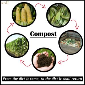 compost_cycle_poster